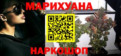 сатива Можга