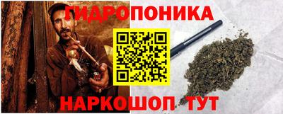 сатива Можга