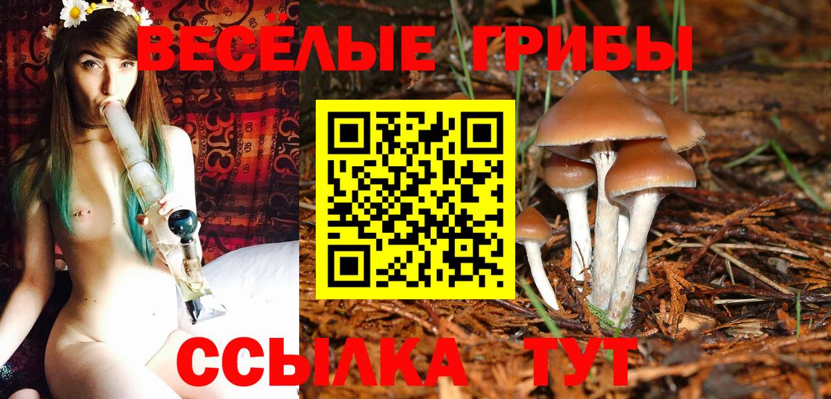 Галлюциногенные грибы GOLDEN TEACHER Чебоксары