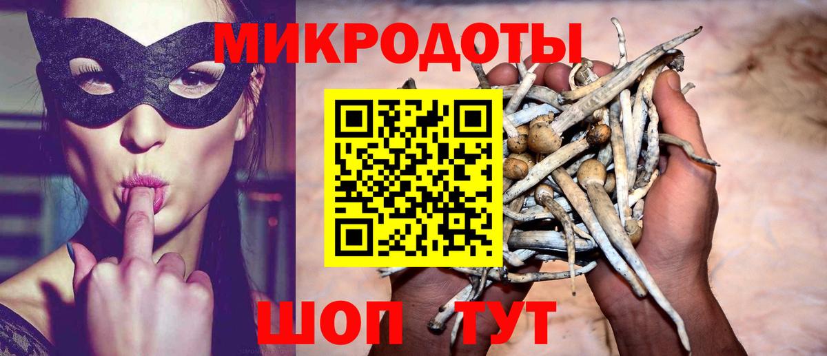 цена   Псилоцибиновые грибы MAGIC MUSHROOMS  Чебоксары  Вход с VPN  Псилоцибиновые грибы Psilocybe 