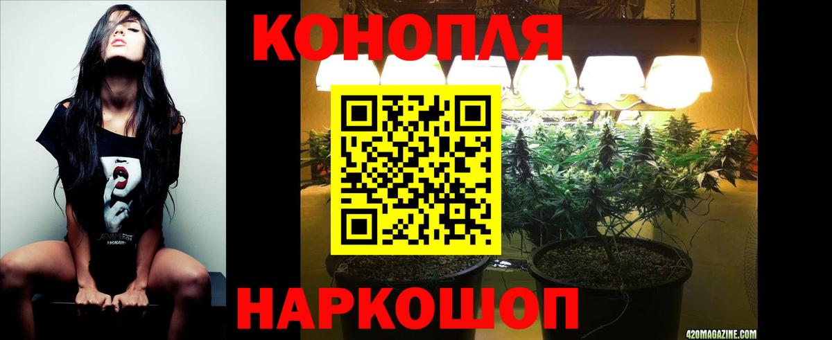 Каннабис планчик Чебоксары